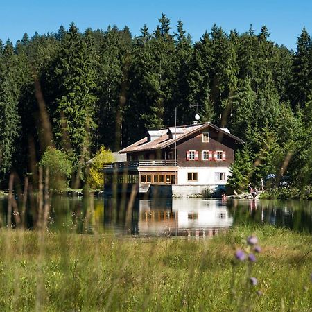 Haus Schreieck Klaudia Apartment Höfen Екстериор снимка